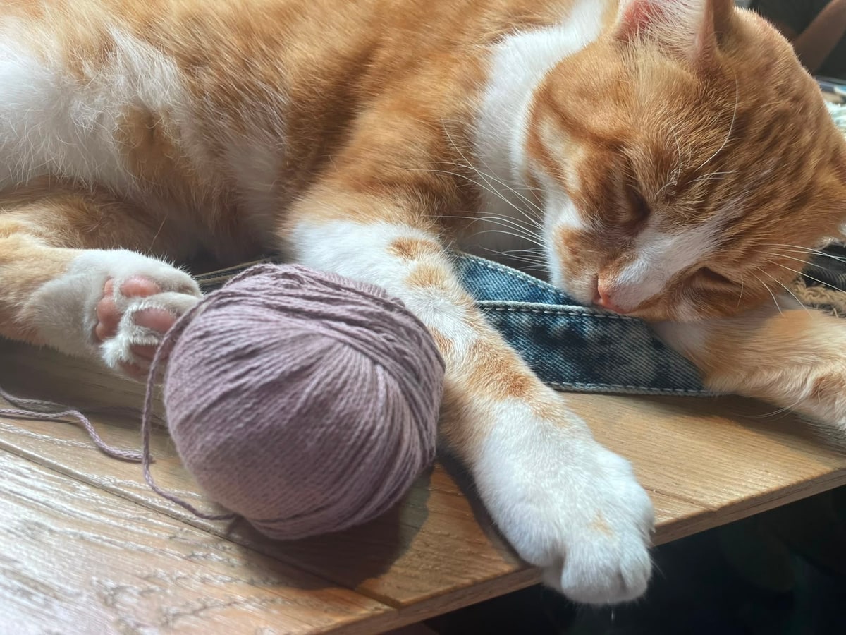 Utrecht Yarn & Crafts