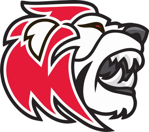 Amsterdam Lions Lacrosse